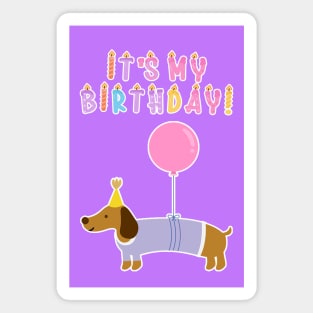 Birthday Candles: It's My Birthday Dachshund Magnet